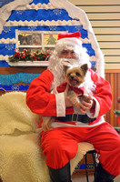 Best Friends Santa Dog pictures 12.14.17