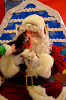 Best Friends Santa Dog pictures 12.16.17