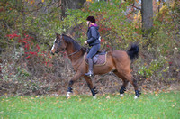 NIC_1267