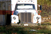 2007 Tara Farms Hunter Pace12